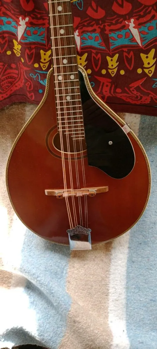 Palmer P3W Mandolin made in Korea - Image 1