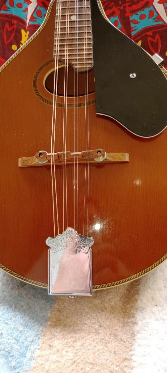 Palmer P3W Mandolin made in Korea - Image 2