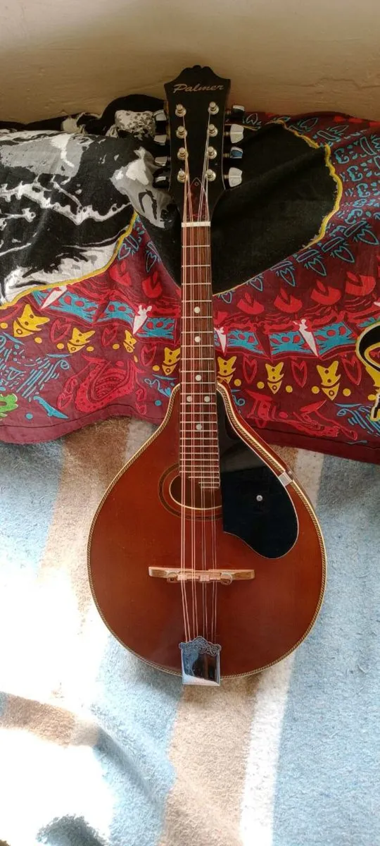 Palmer P3W Mandolin made in Korea - Image 3