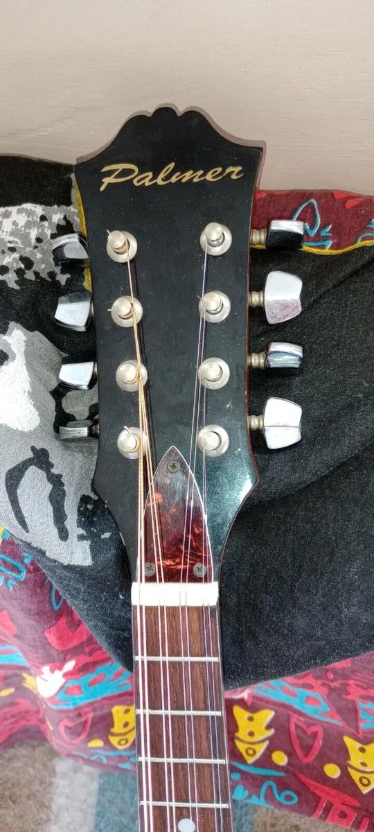 Palmer P3W Mandolin made in Korea - Image 4