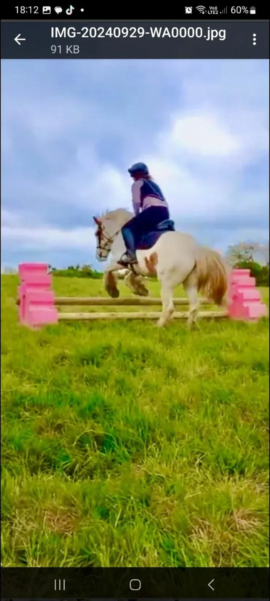 Horse - Image 1