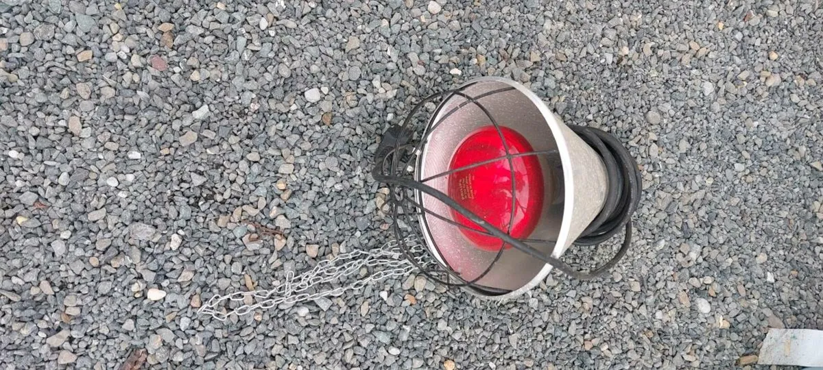 Chicken feeder and  infra red light - Image 2