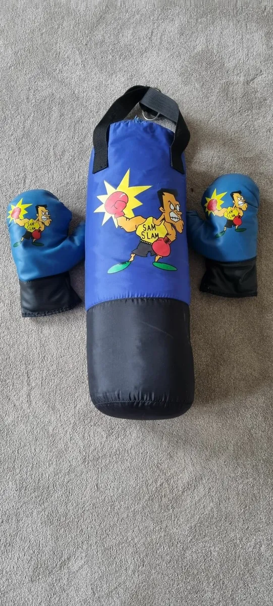 Punching bag & Gloves - Image 1