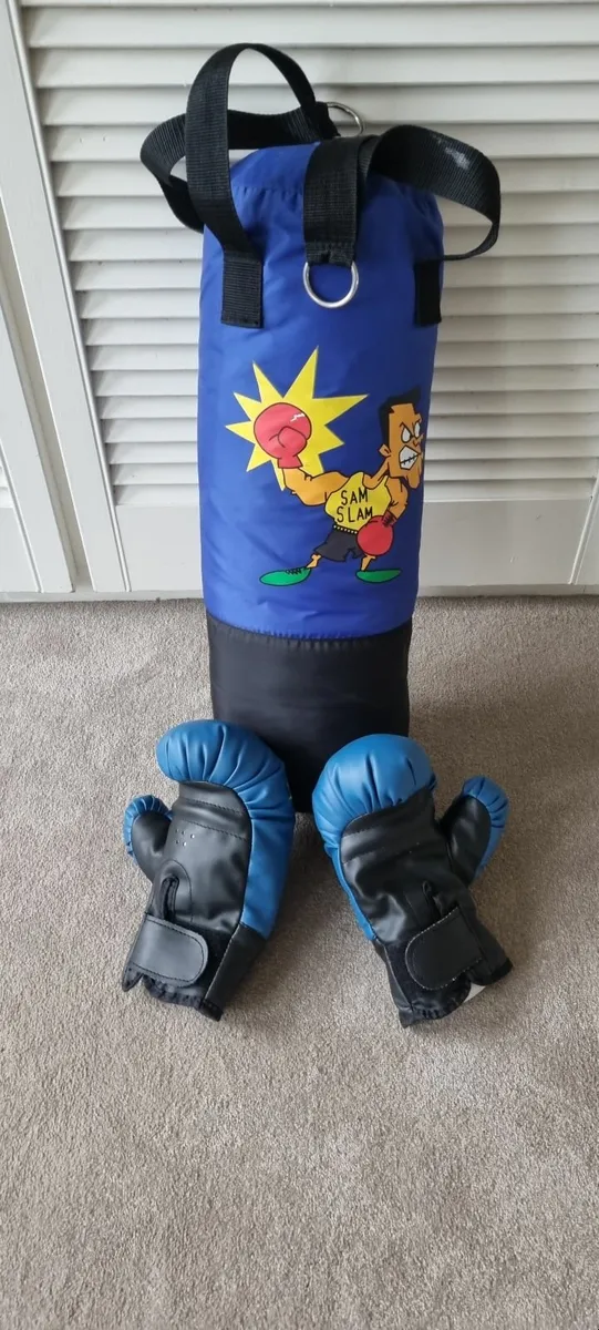 Punching bag & Gloves - Image 2