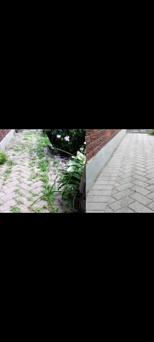 Gardens sprayed for weeds professionally