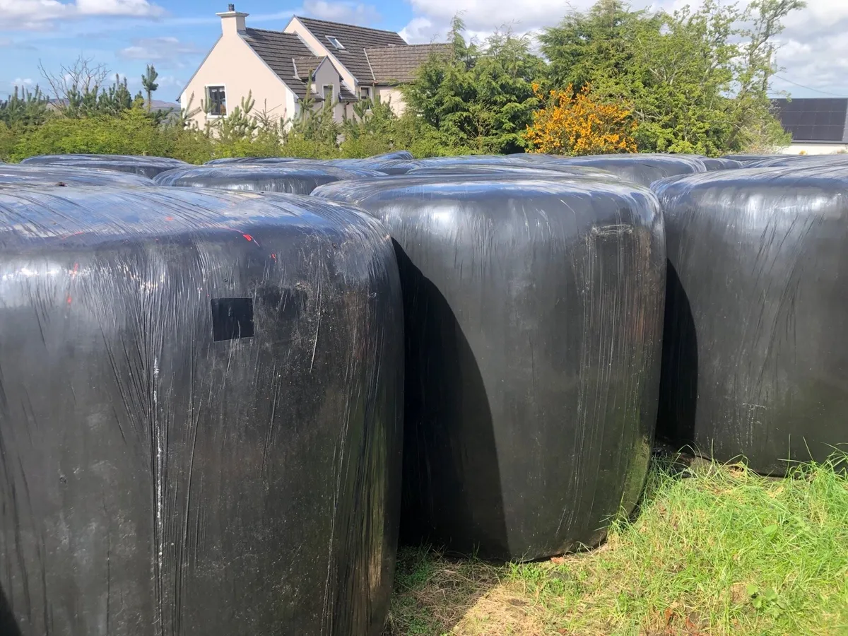 Silage Bales