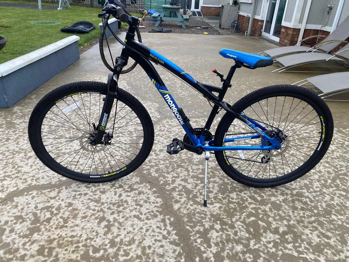 Mountain Bike - Image 2