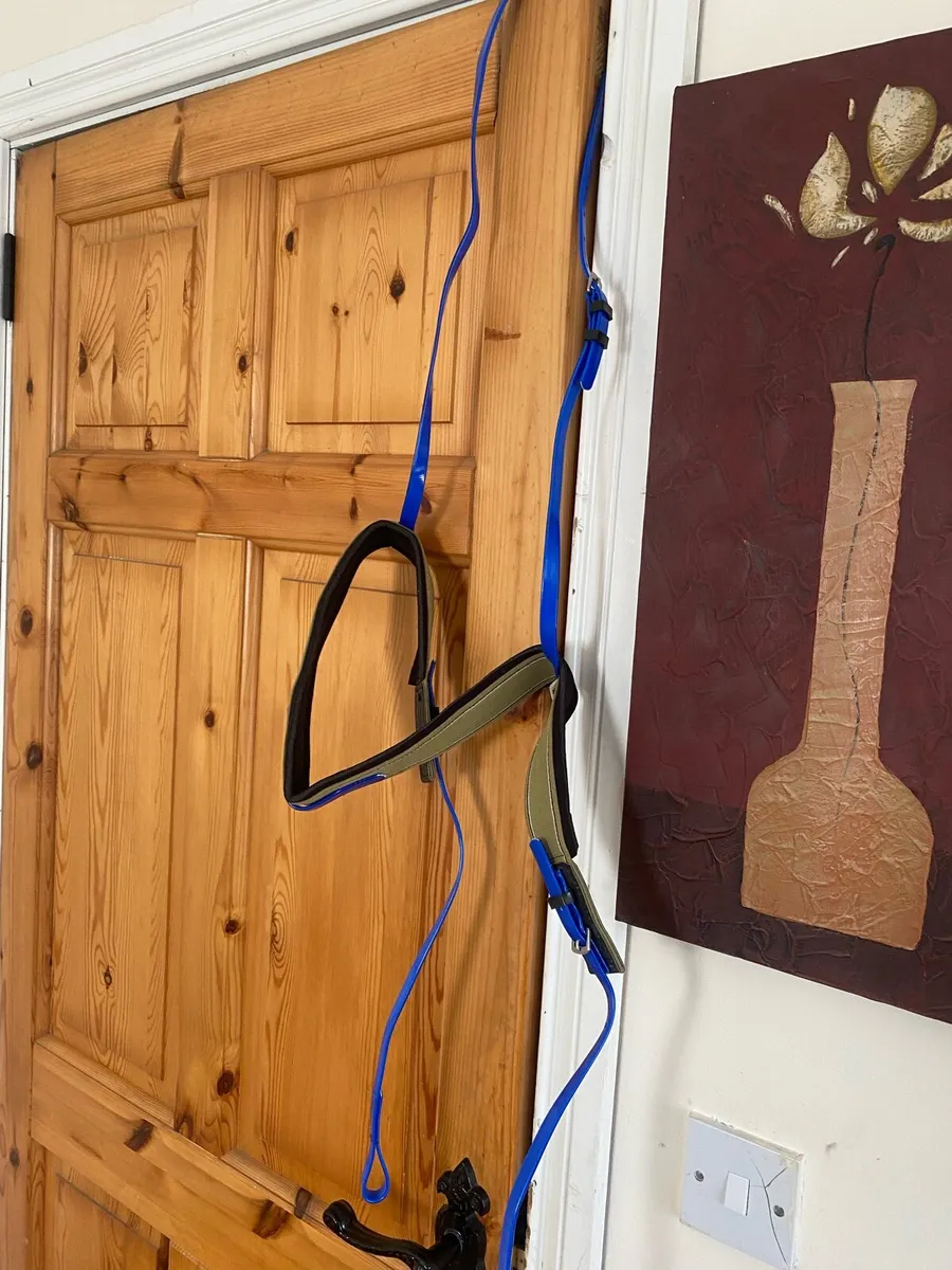 Race exercise bridles - Image 4