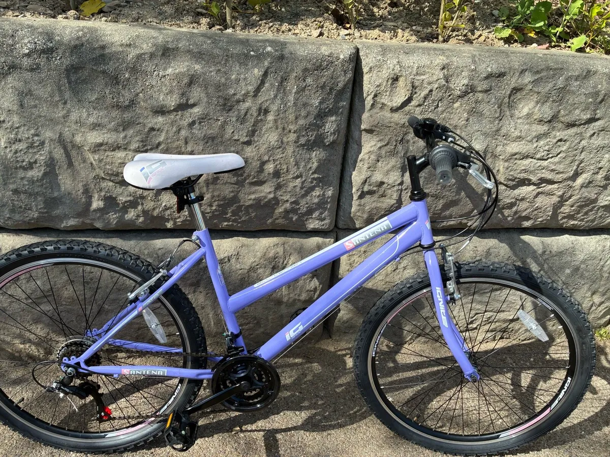 Bike - Image 1
