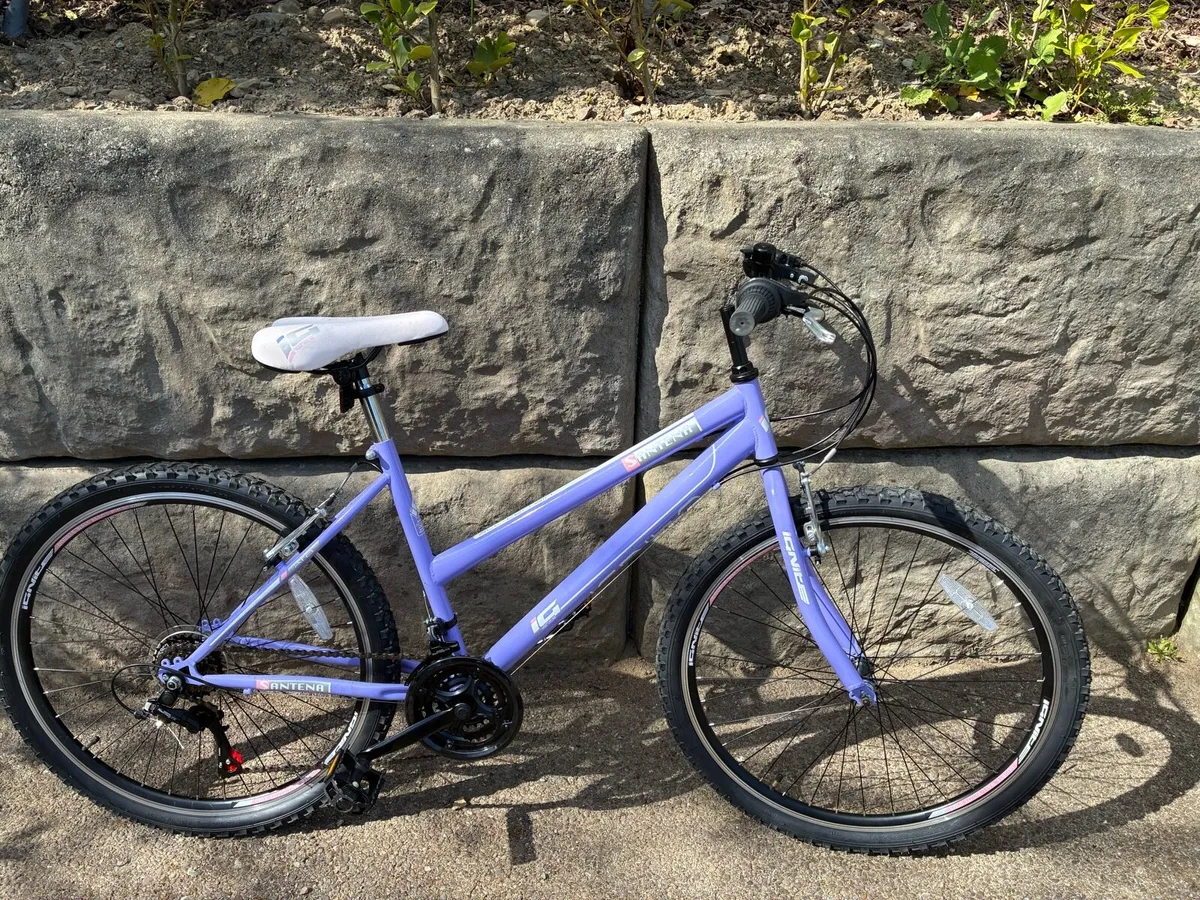 Bike - Image 2