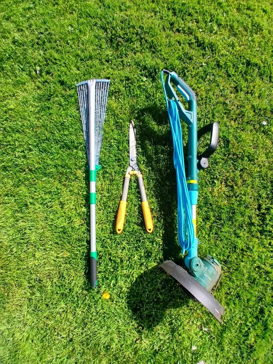 Electric Grass Trimmer with Rake & Shears - Image 1