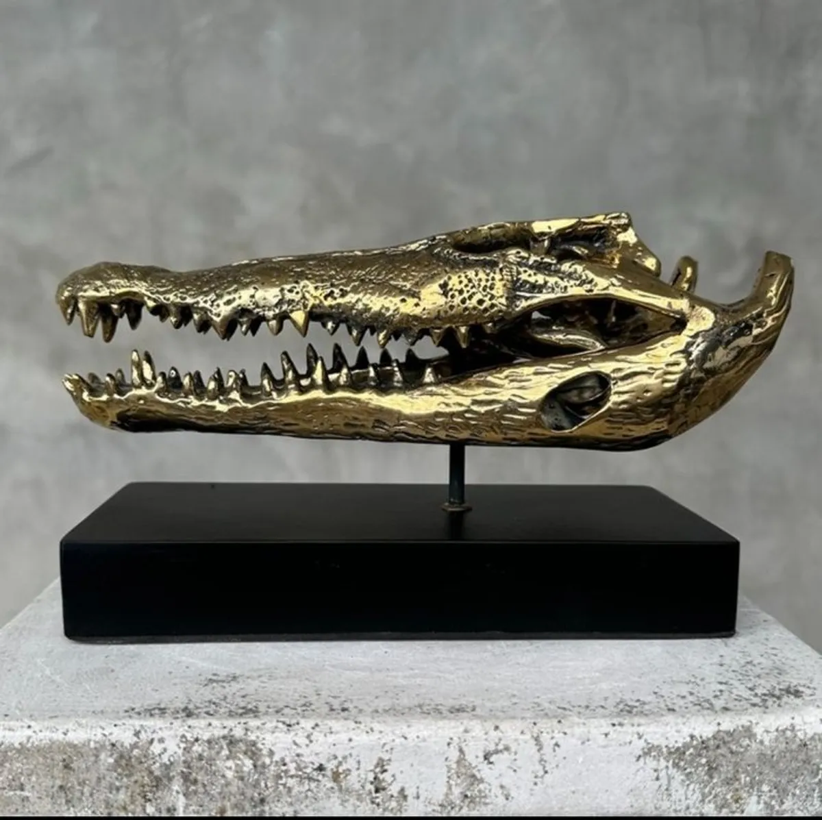 Crocodile Skull (20cm) - Polished Bronze - Image 1