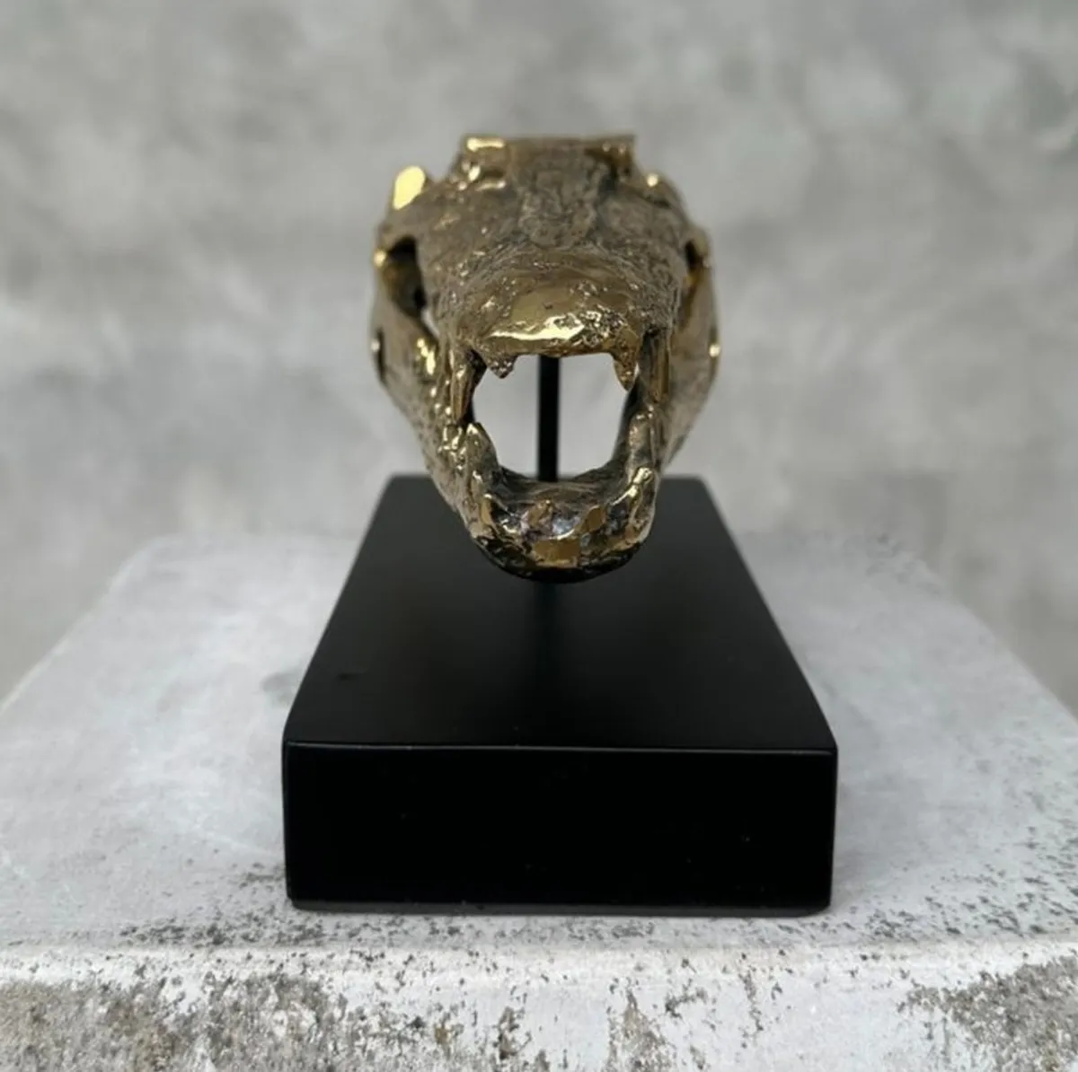 Crocodile Skull (20cm) - Polished Bronze - Image 3