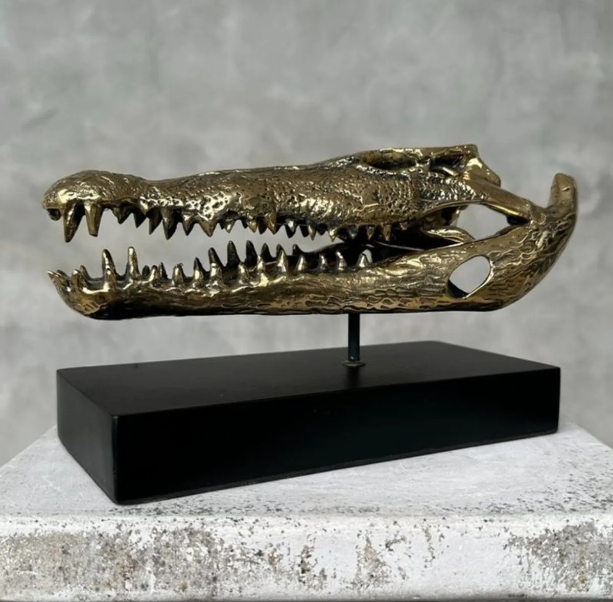 Crocodile Skull (20cm) - Polished Bronze - Image 4