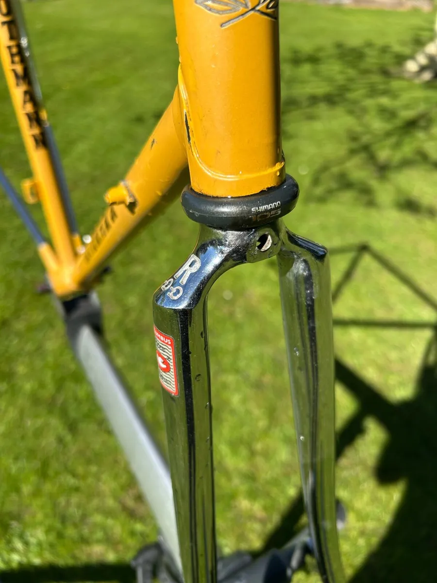 Columbus SLX frame - Image 4