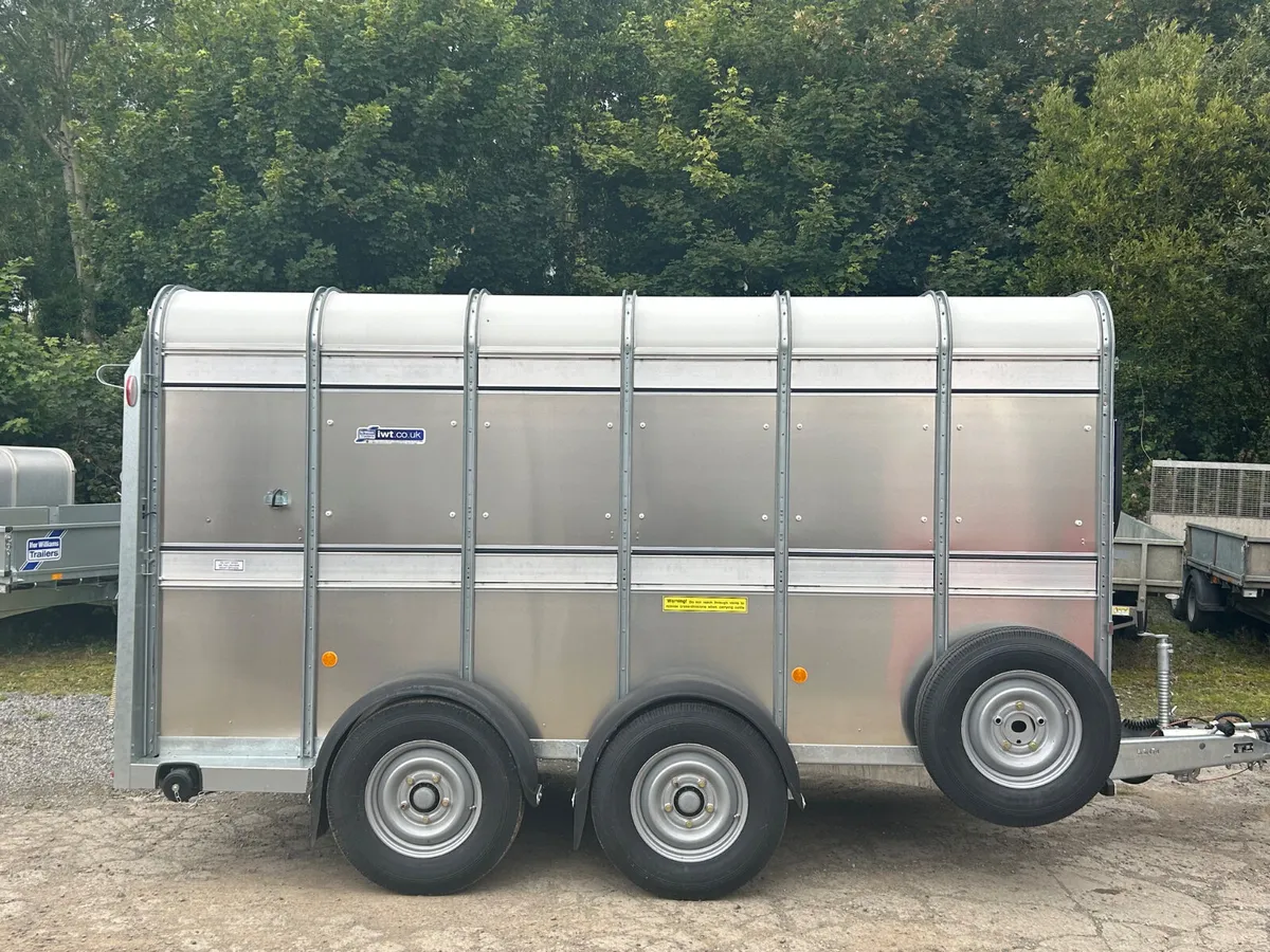 New Ifor Williams Ta510 12ft with Sheep - Image 2