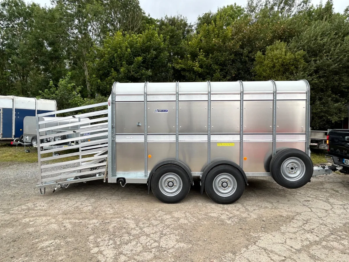 New Ifor Williams Ta510 12ft with Sheep - Image 1