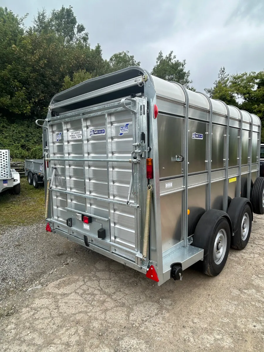 New Ifor Williams Ta510 12ft with Sheep - Image 3
