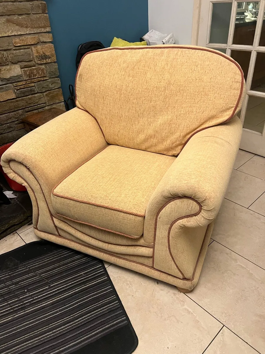 Two arm chairs for sale - Image 1