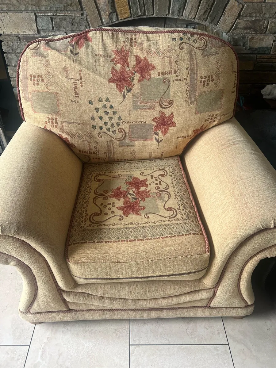 Two arm chairs for sale - Image 2
