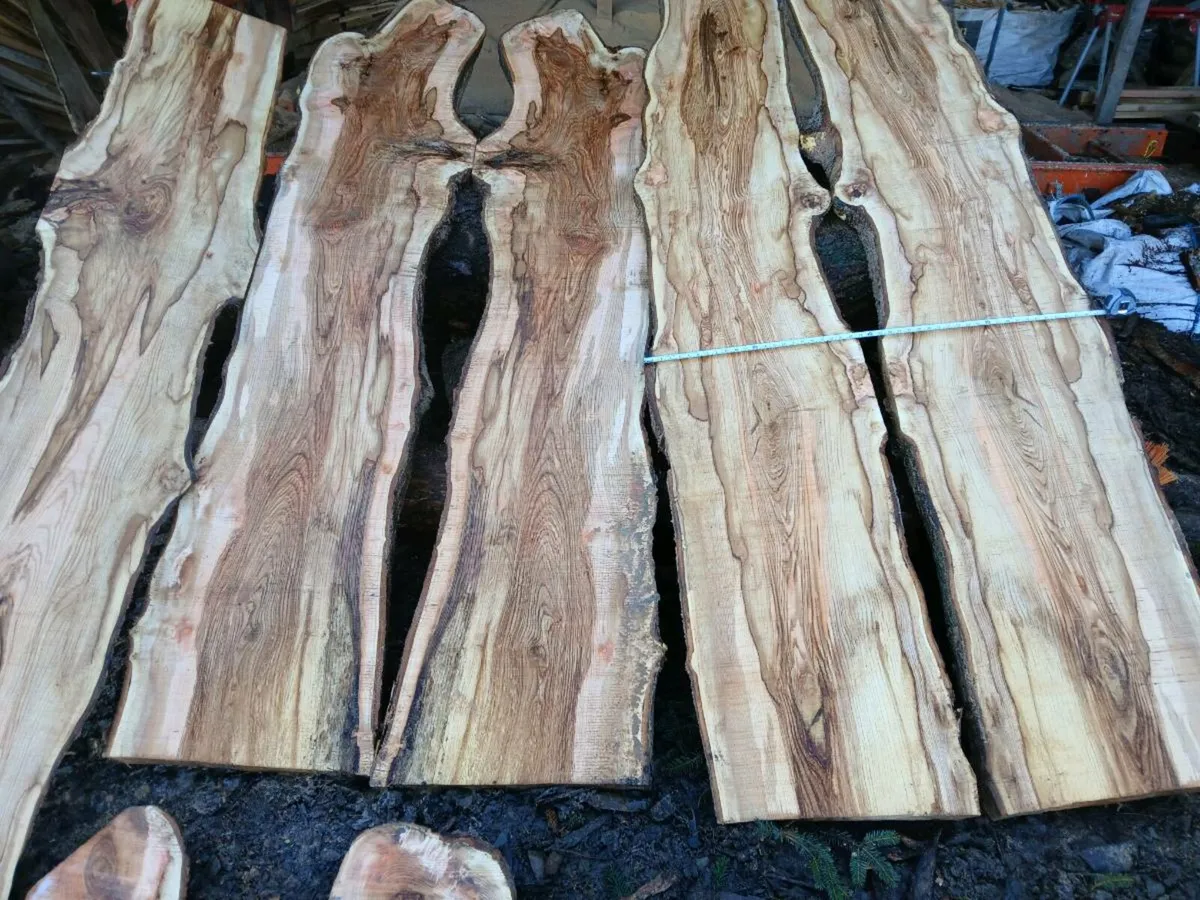 Timber planks - Image 1