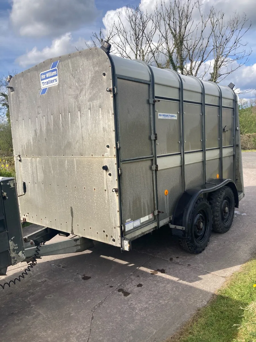 Ifor Williams Cattle / Sheep trailer - Image 2