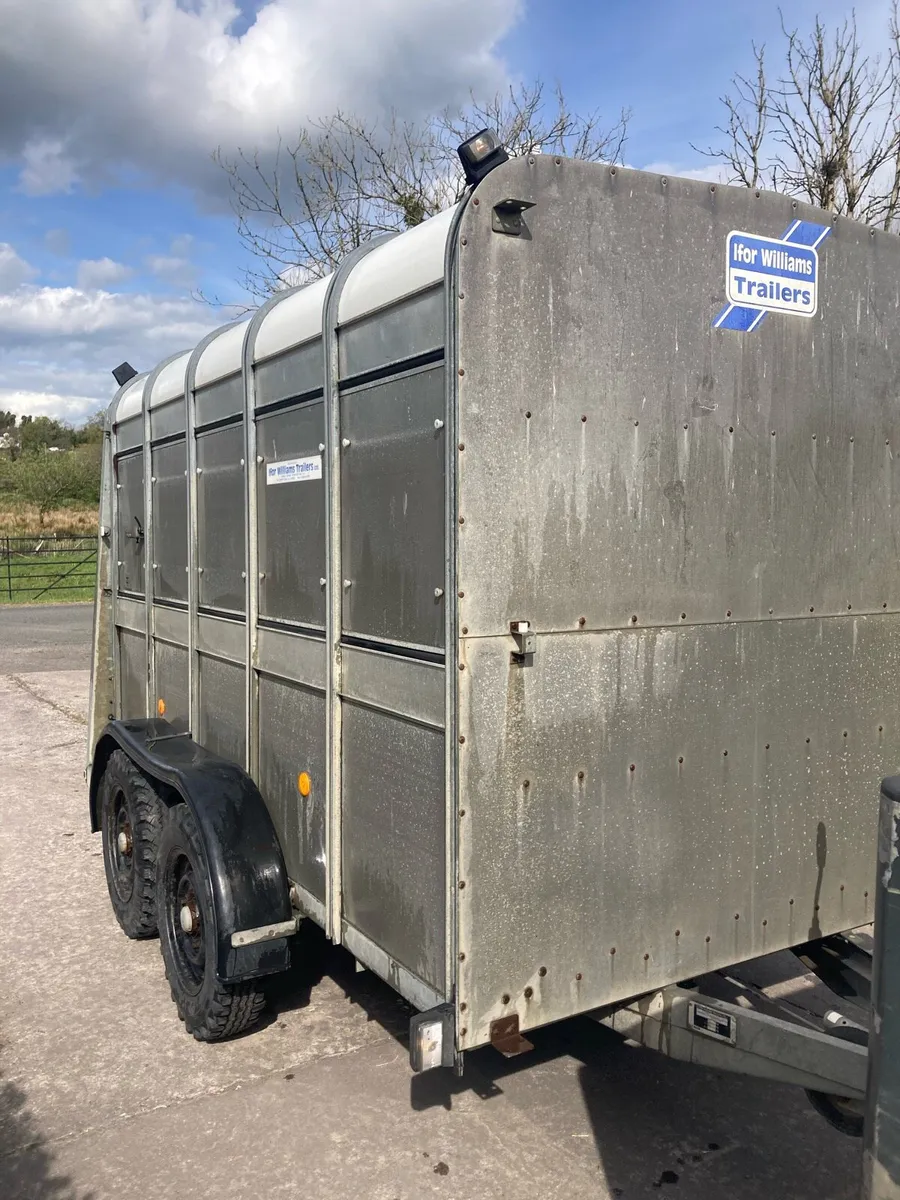 Ifor Williams Cattle / Sheep trailer - Image 3