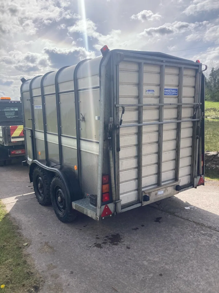 Ifor Williams Cattle / Sheep trailer - Image 4