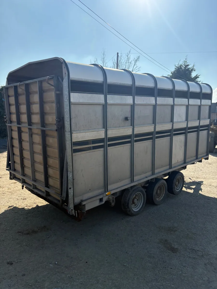 Ifor Williams 14ft cattle trailer - Image 3