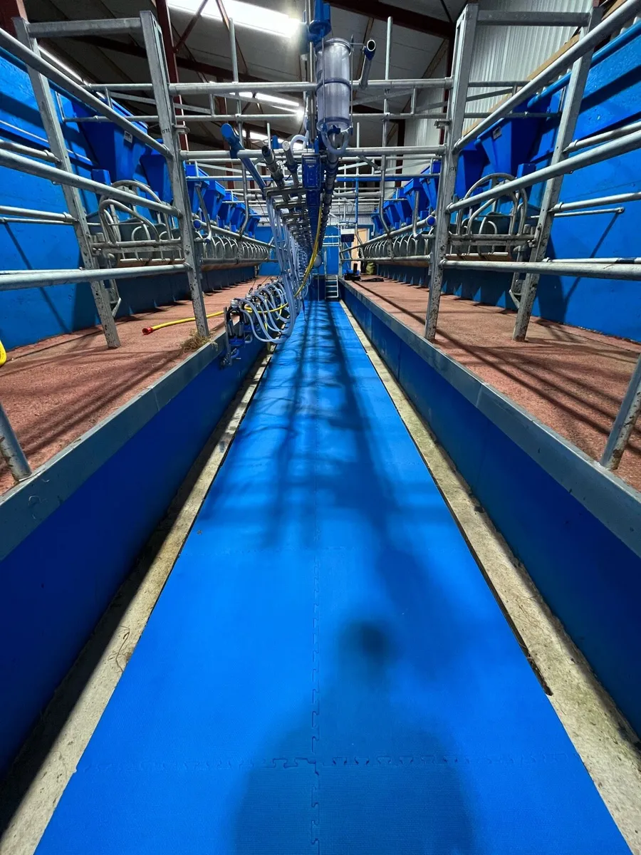 Milking Parlour Pit Mats - Image 2