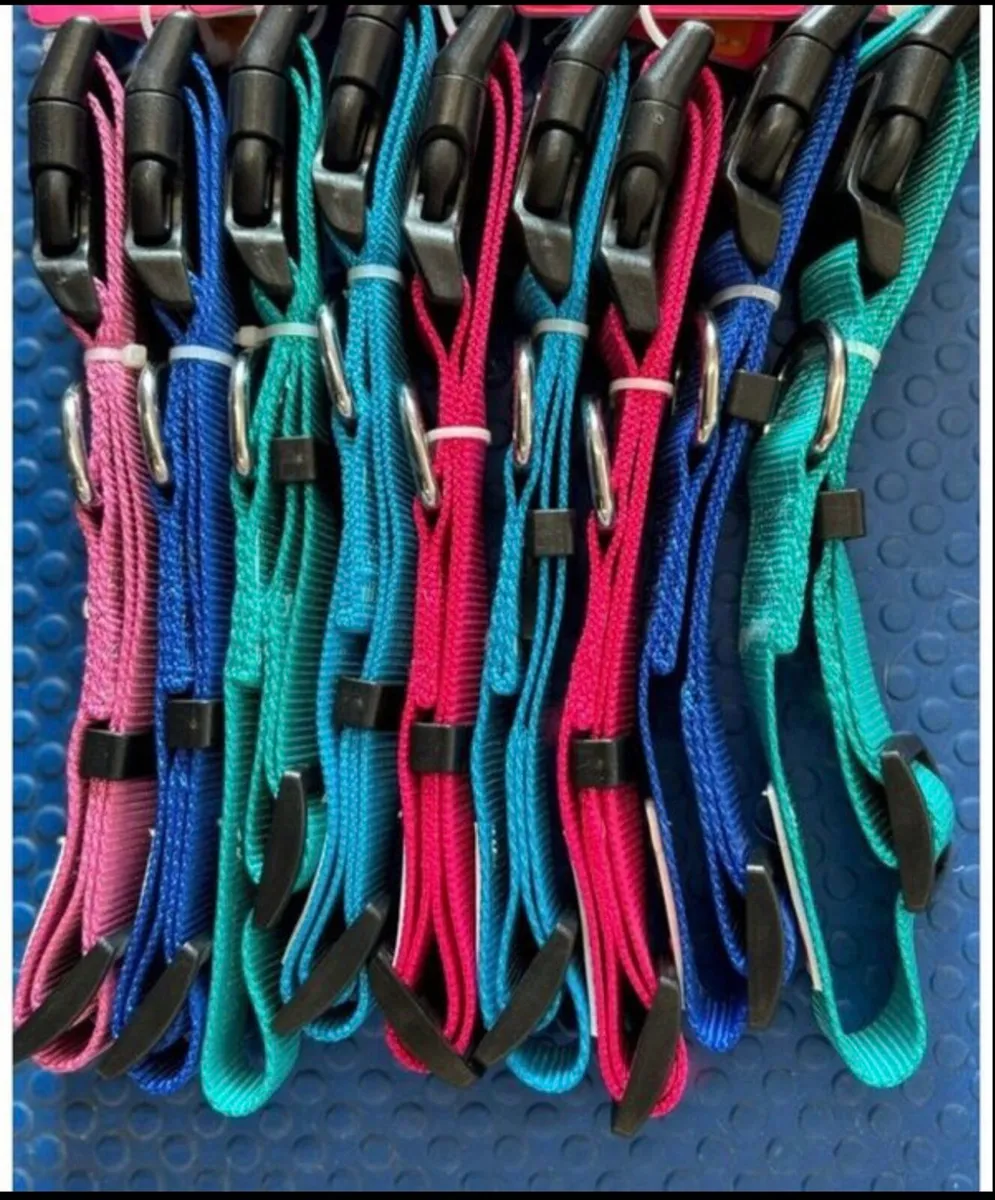 Dog bandannas - Image 1
