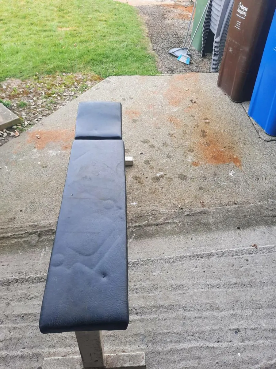 Gym bench - Image 1