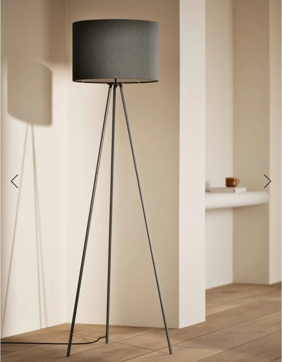 Floor and Table Lamps Also Wall Mirror - Image 3