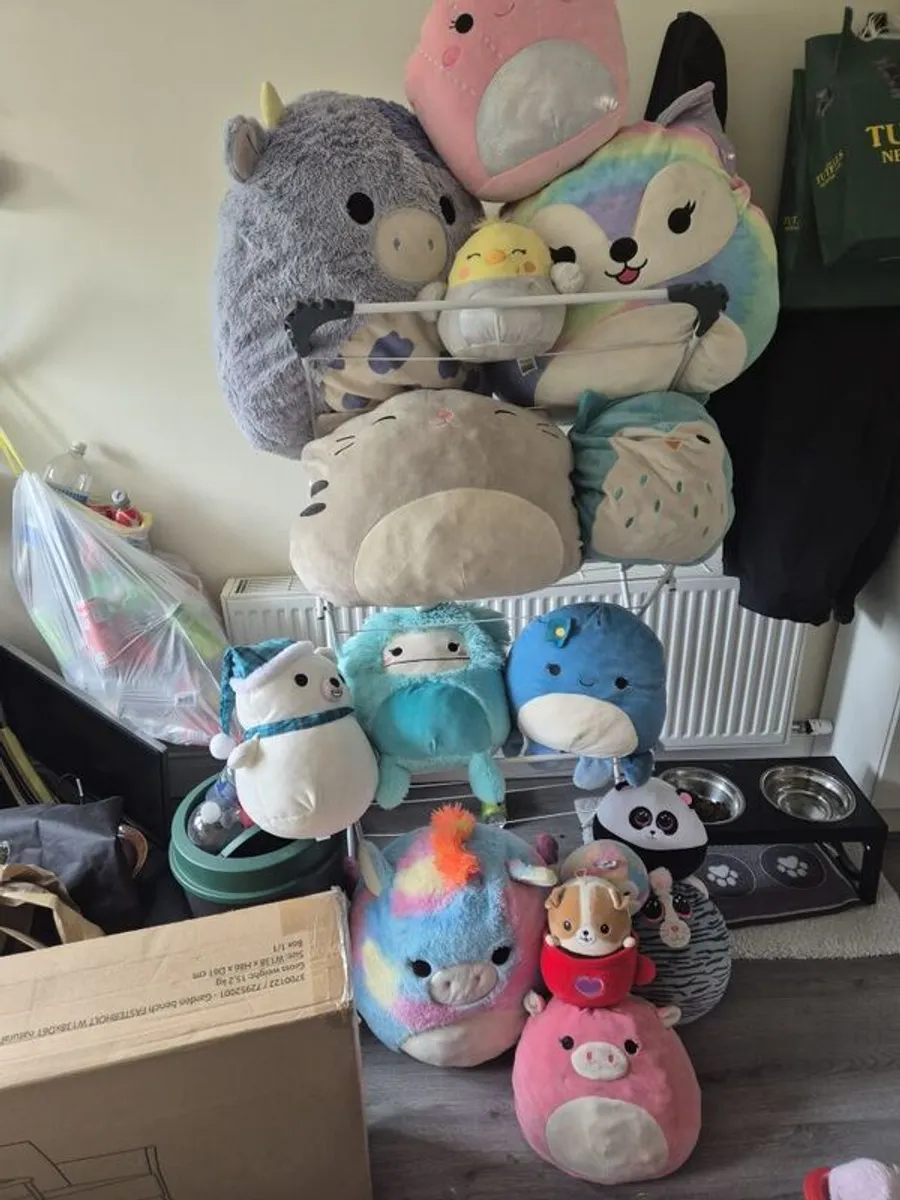 squishmallows - Image 1
