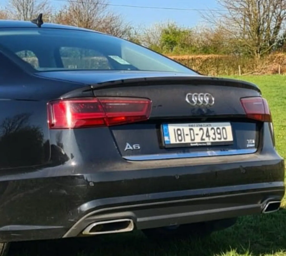 Audi a6 ultra 181 - Image 3