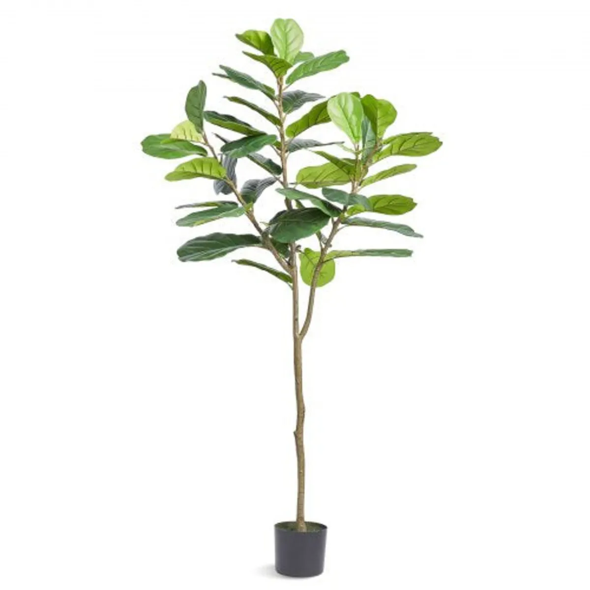 Artificial Fiddle Leaf Fig Tree, 6 FT, Secure PE M