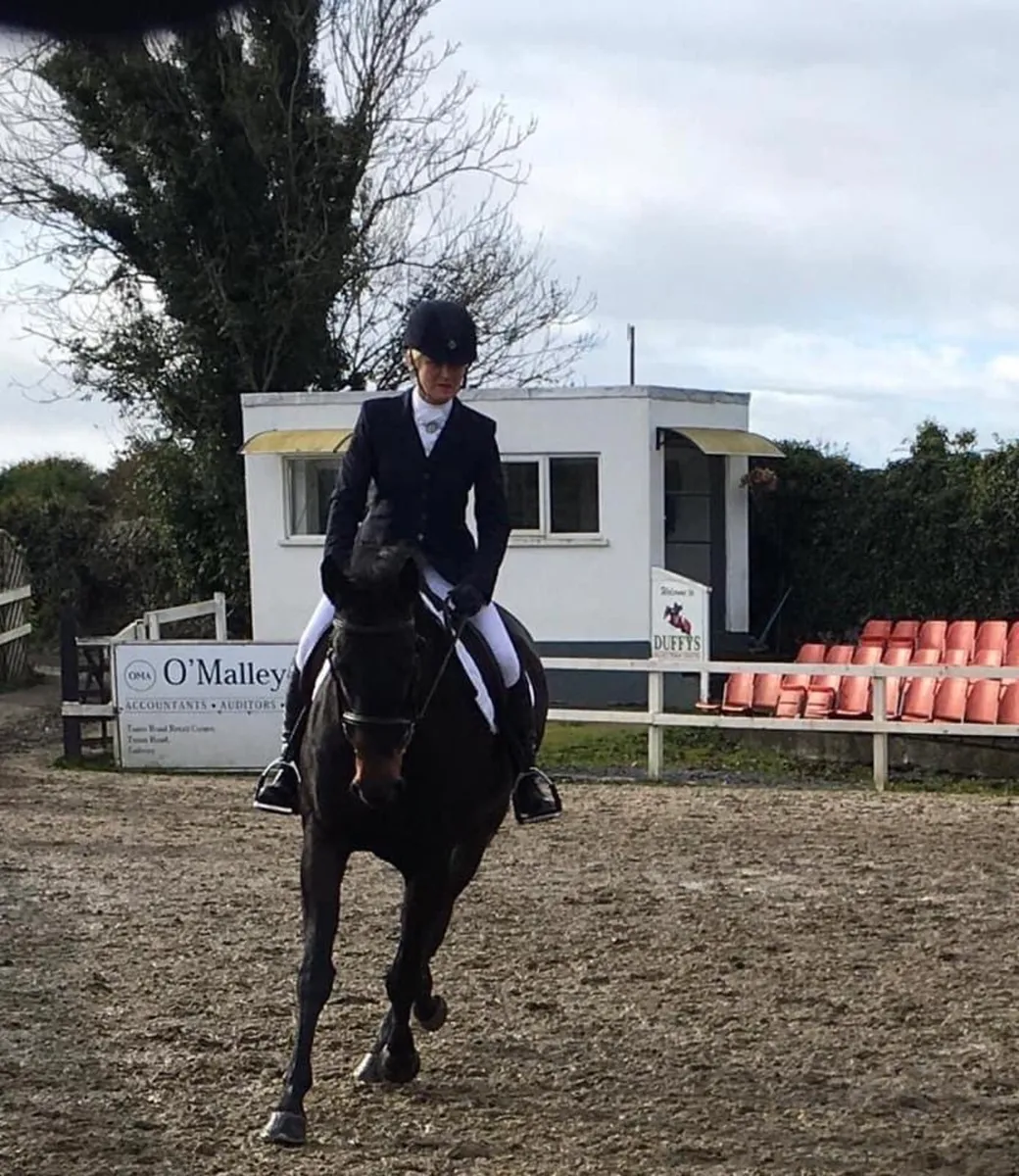 Elegant Horse - Image 1