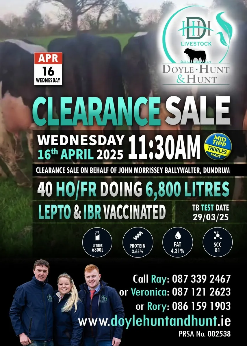 Clearance Sale - Image 1
