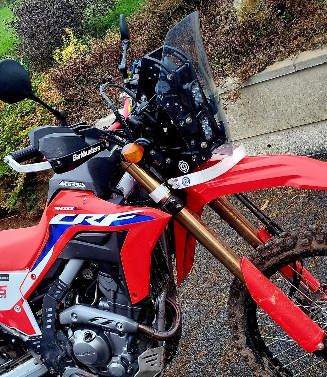 CRF 300L - Image 1