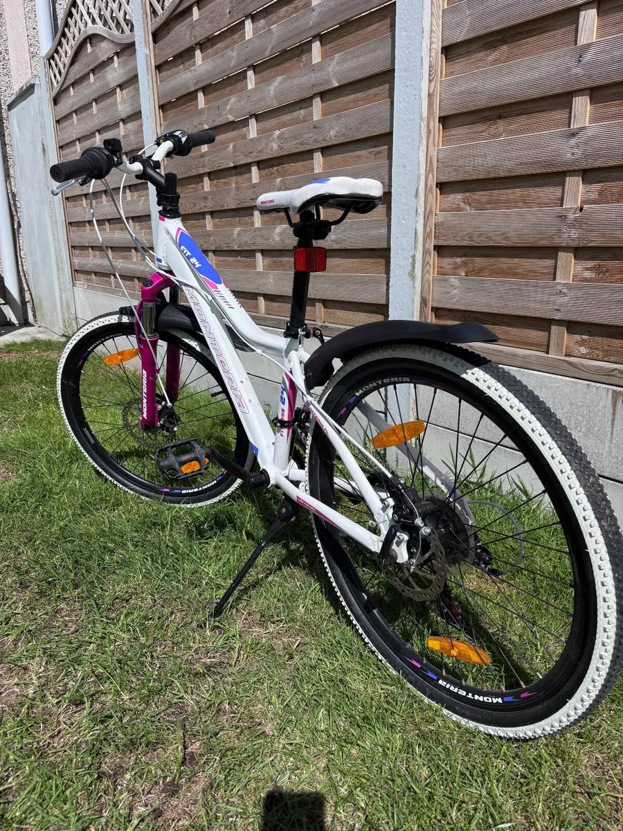 Bike - Image 2