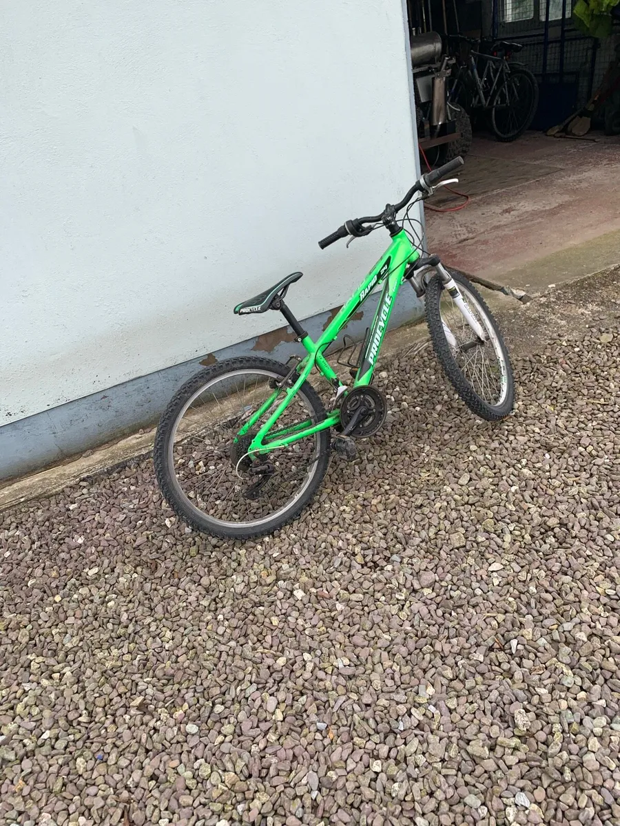 Bike - Image 3