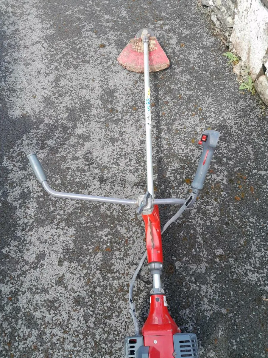 Strimmer - Image 2