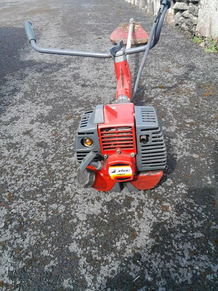 Strimmer - Image 3