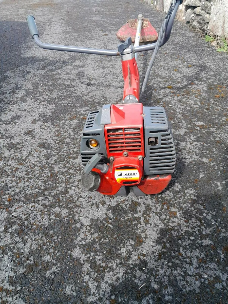 Strimmer - Image 4