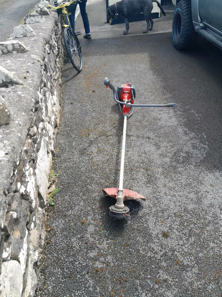 Strimmer - Image 1