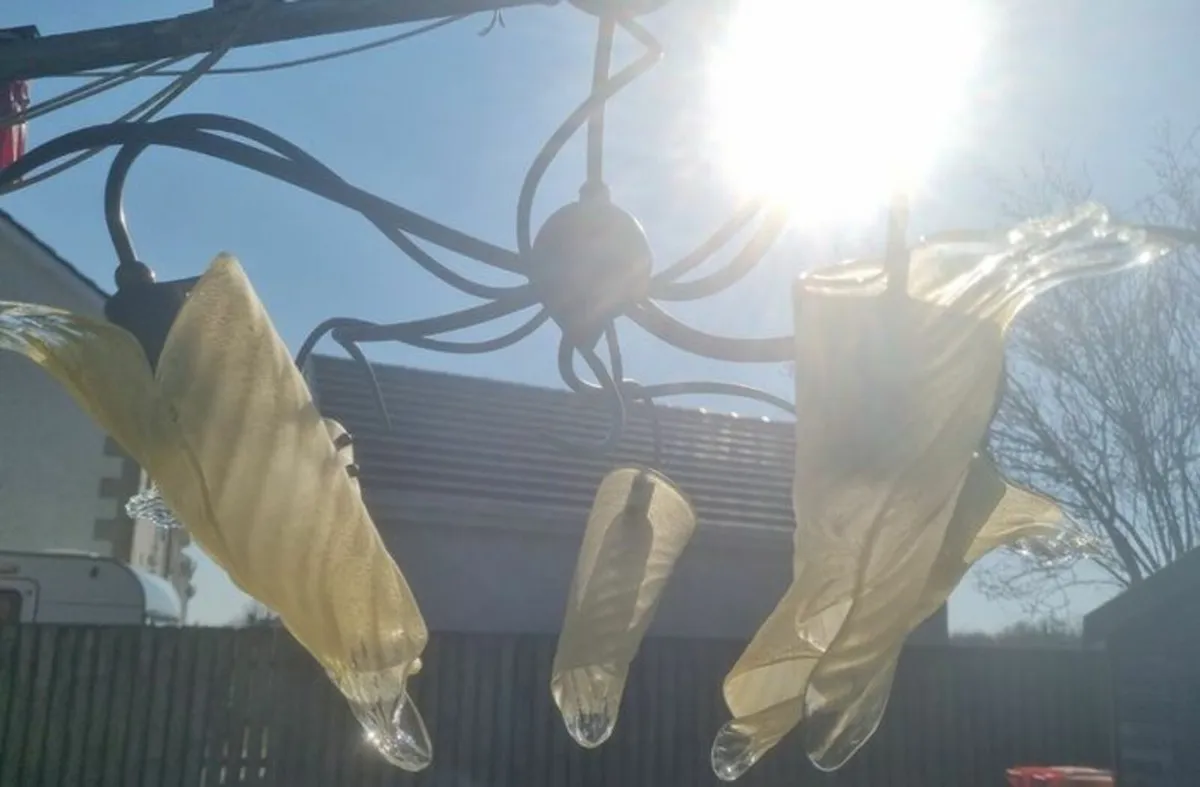 Murano chandelier - Image 3