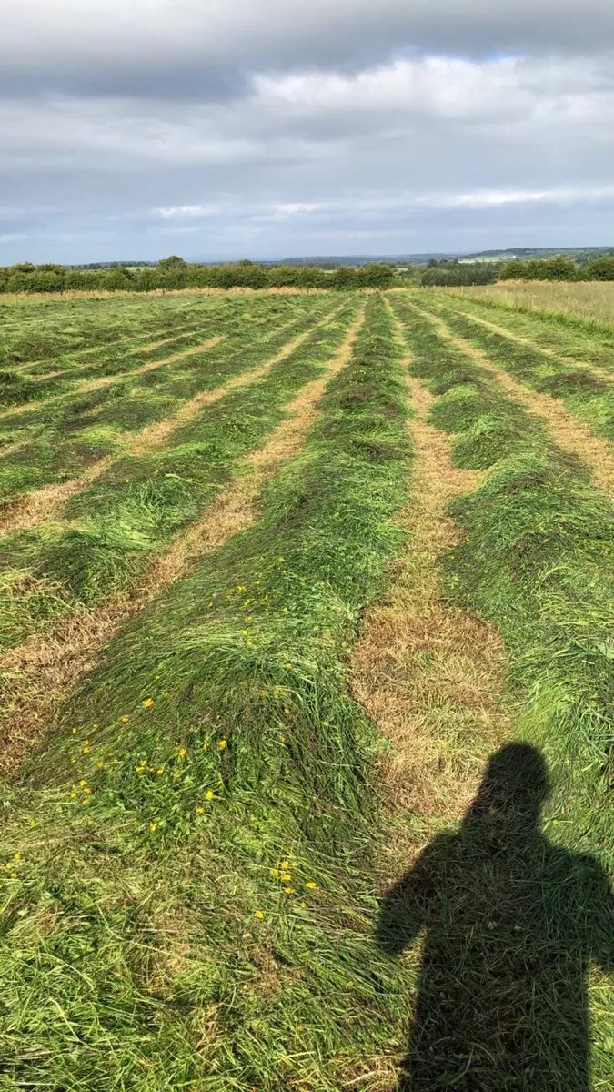 Silage bales - Image 1