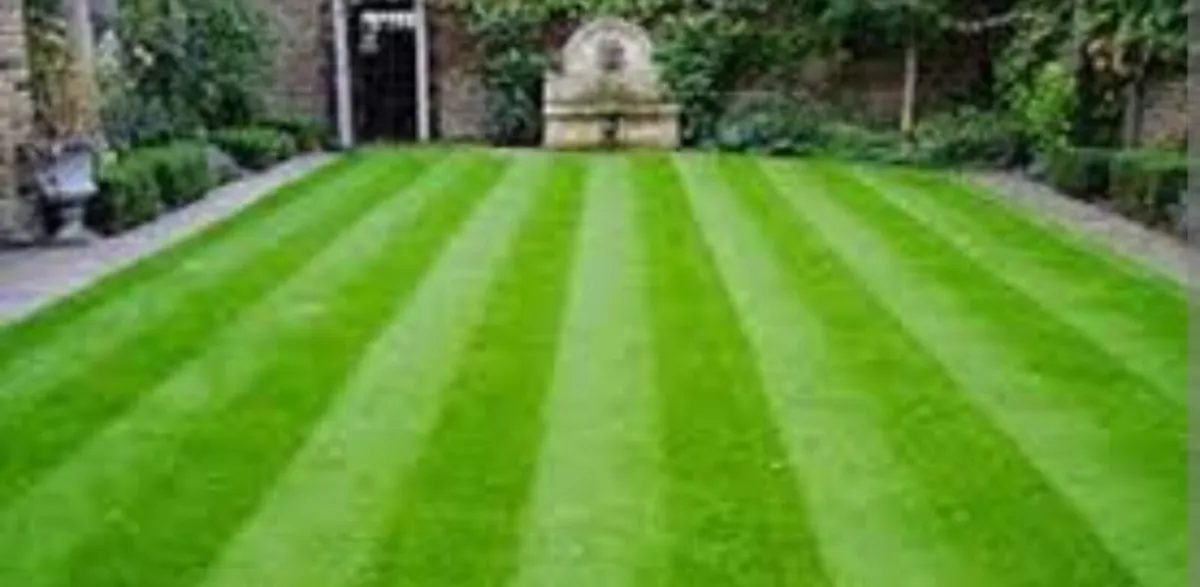 Garden and house maintenance - Image 1