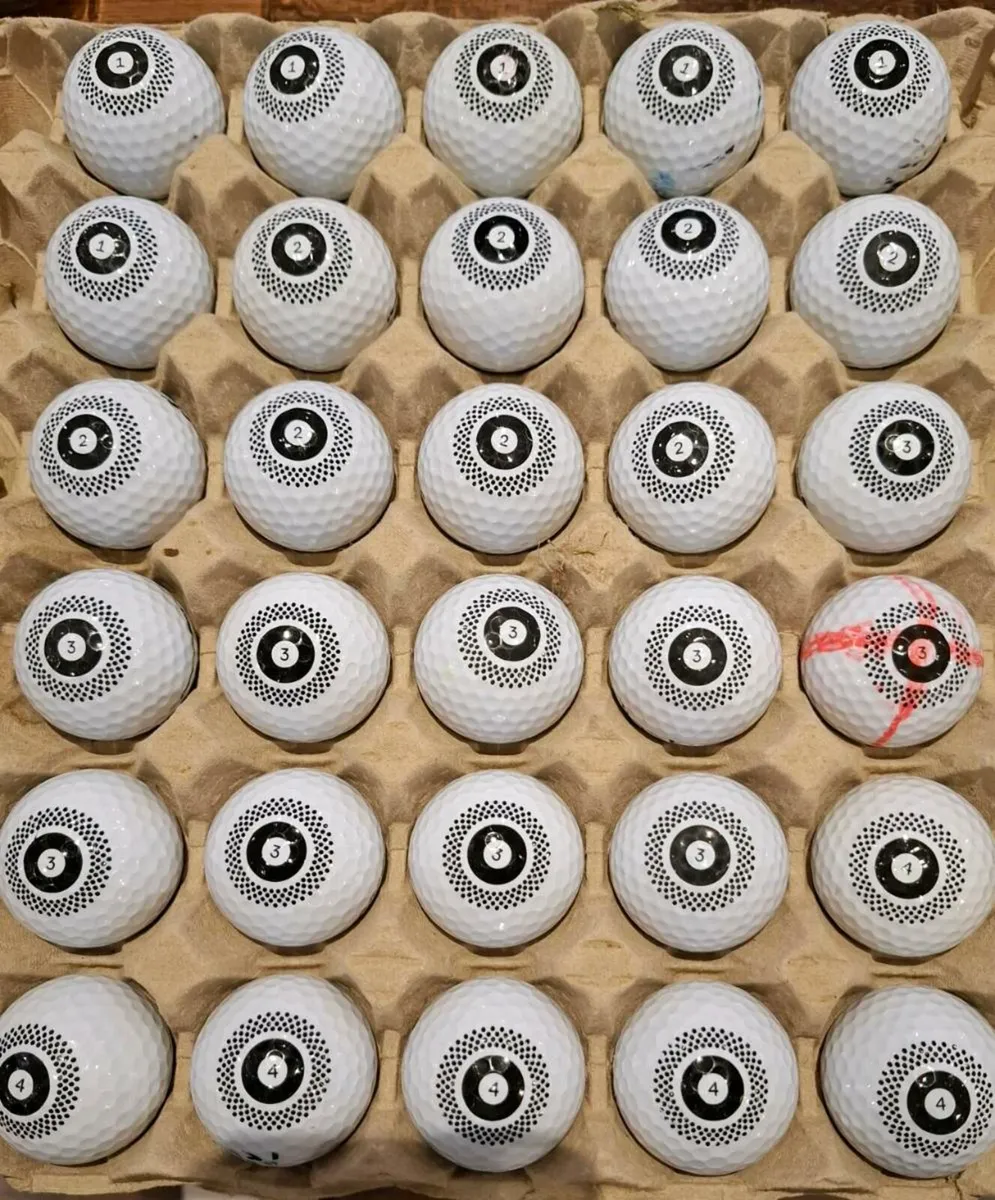 SEED SD 15. -THE JACK