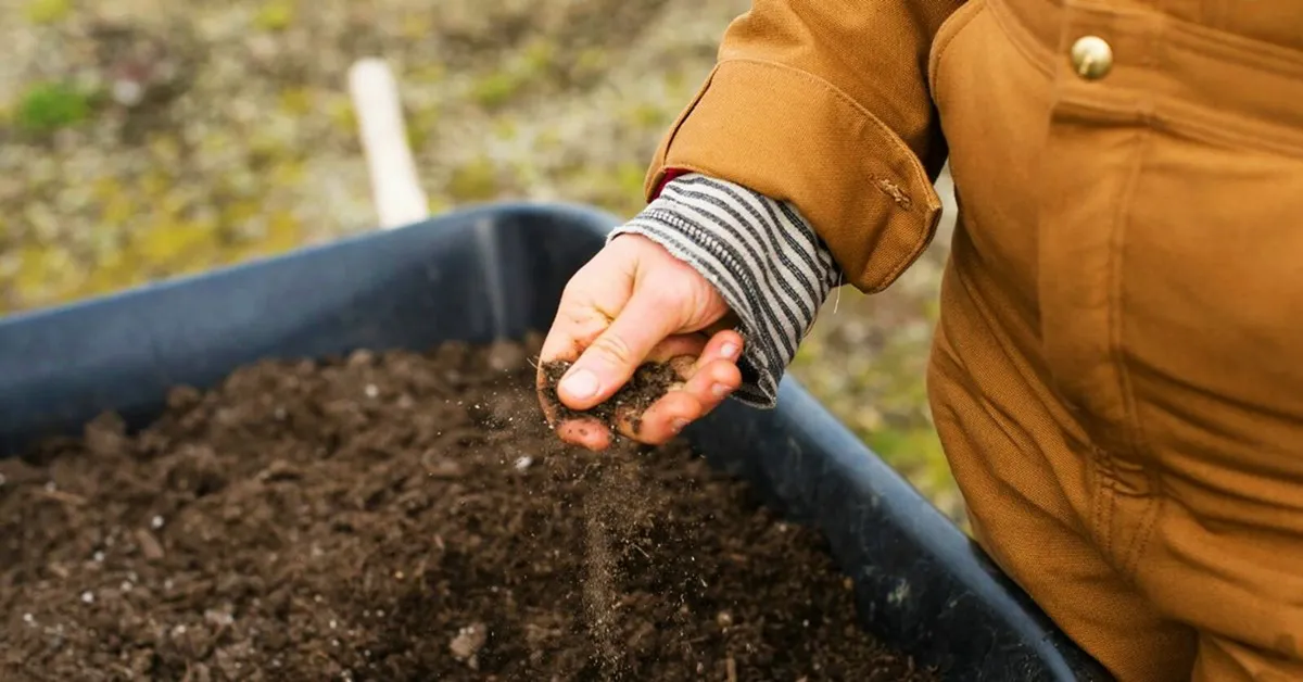 Cost-Saving Fertiliser That Works - Image 1